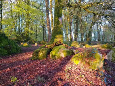 Paysage naturel près de la tente de luxe