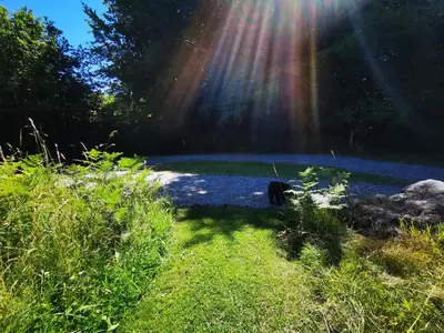 Paysage naturel près de la tente de luxe