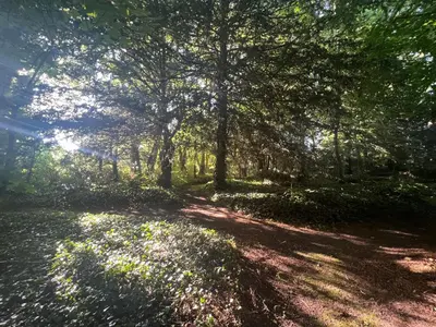 Paysage naturel près de l'appartement