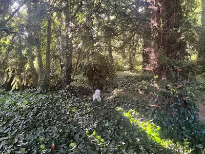 Jardin de l'établissement Domaine de la Boissière - Normandie