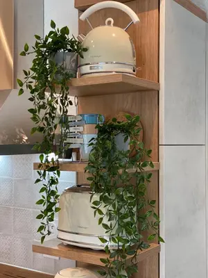 Cuisine ou kitchenette dans l'établissement Cosy deux pièces coeur de ville avec parking privé
