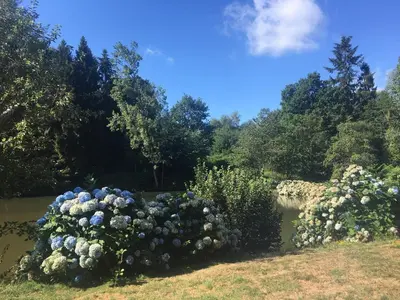 Paysage naturel près de la maison de vacances
