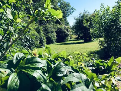 Jardin de l'établissement T-TWO Normandia