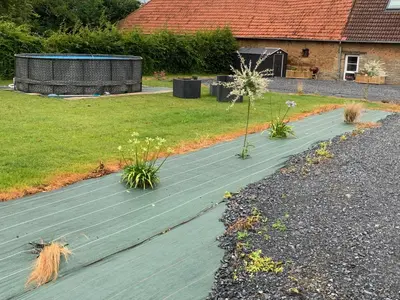 Jardin de l'établissement Au cœur du marais,Le léonin
