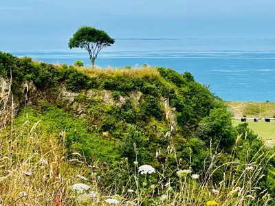 Paysage naturel près de l'appartement