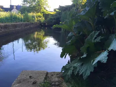 Vue sur la rivière ou le fleuve situé(e) à proximité de la maison de vacances