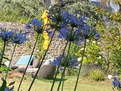 Jardin de l'établissement Studio avec jardin