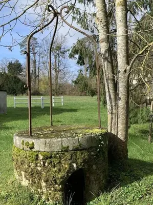 Jardin de l'établissement Les Arcades du Chateau