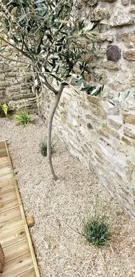 Jardin de l'établissement La maison du Pays d'Auge