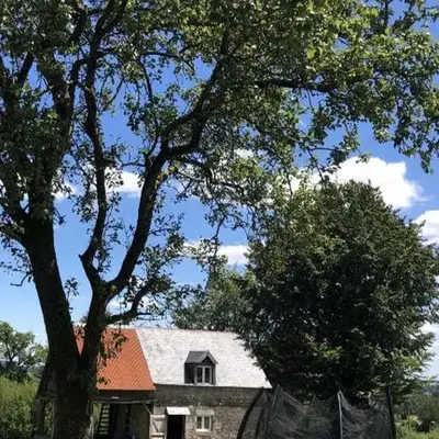 The Stable
