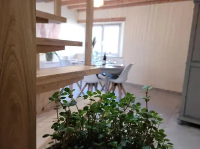 Plan de l'établissement Gîte de bord de mer, Le Calicoco