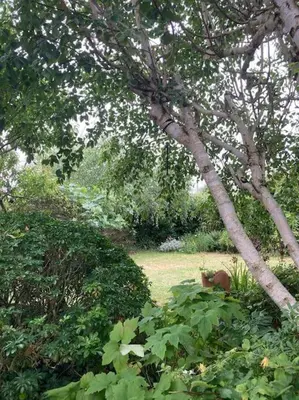 Jardin de l'établissement La Maison Rose - avec grand jardin clos à 300m de la mer