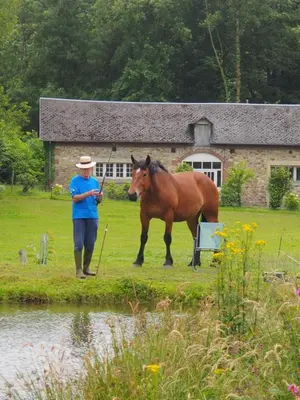 Animaux dans le B&B/chambre d'hôtes ou à proximité