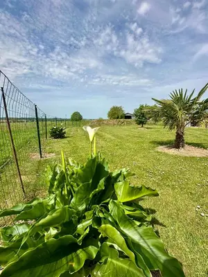Jardin de l'établissement Gîte des Hirondelles n