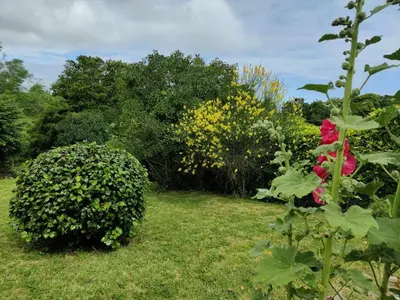 Jardin de l'établissement La 154 - Second Souffle - Cherbourg