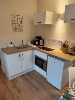 Cuisine ou kitchenette dans l'établissement studio33