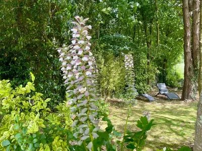 Jardin de l'établissement Duplex Bellevue, vue mer, à 50m de la plage!