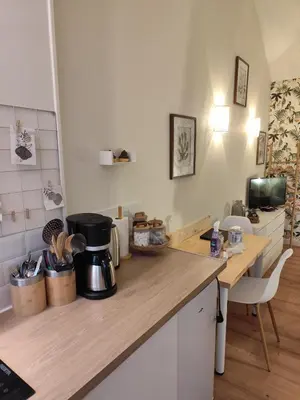 Cuisine ou kitchenette dans l'établissement Studio de la seine