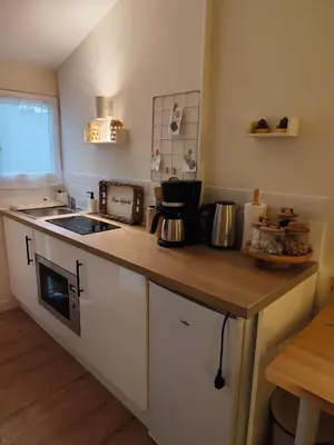 Cuisine ou kitchenette dans l'établissement Studio de la seine