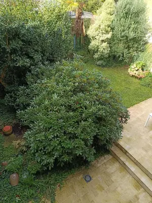 Jardin de l'établissement Grande maison de ville avec jardin - Baie du Mont St Michel