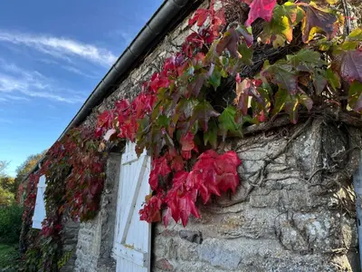 Jardin de l'établissement Proche de la mer gite chez hippolyte