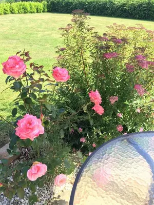Jardin de l'établissement La Boulangerie