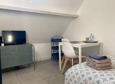 Télévision ou salle de divertissement dans l'établissement Studio Rue Saint Jean