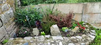 Jardin de l'établissement Studio confortable à Flamanville - 35m² - Jardin privé