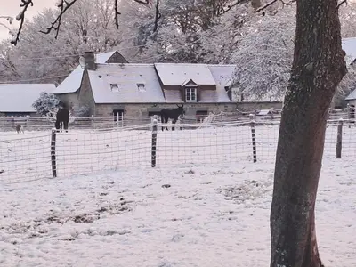 L'établissement Maison restaurée avec charme à Domfront, animaux admis, wifi, près des pistes cyclables - FR-1-497-201 en hiver