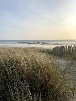Paysage naturel près de la maison de vacances