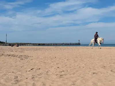 Clients de l'établissement Le Côtier - Appt à 200m de la plage