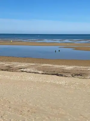 Paysage naturel près de la maison de vacances