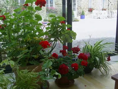 Jardin de l'établissement La Vimonderie Comfortable holiday residence