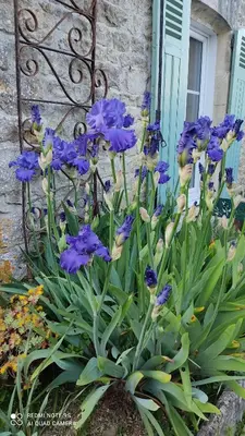 Jardin de l'établissement Gîte Bienvenue chez Naty