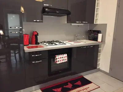 Cuisine ou kitchenette dans l'établissement Appartement L Hippocampe