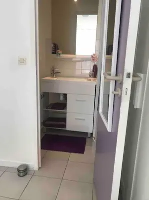 Salle de bains dans l'établissement Appartement L Hippocampe