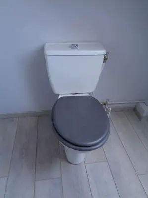 Plan de l'établissement Maison avec terrain clos