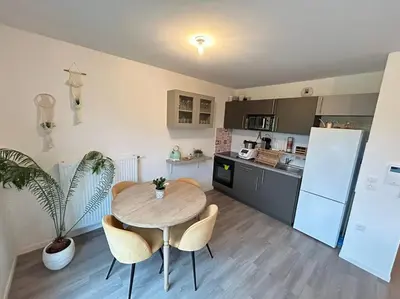 Cuisine ou kitchenette dans l'établissement Appartement récent tout confort