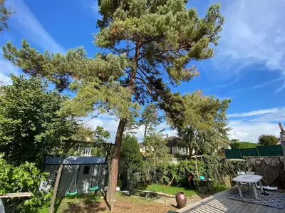 Jardin de l'établissement Villa Mirabelle - Proche plage