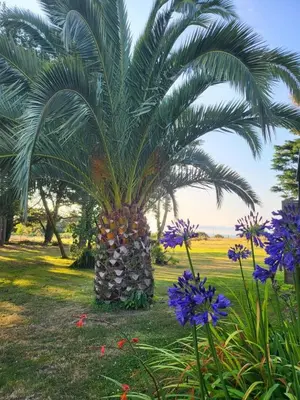 Jardin de l'établissement Ty gwenn