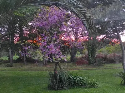Jardin de l'établissement Ty gwenn