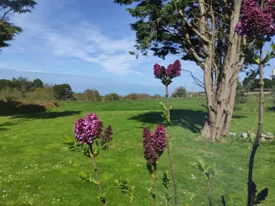 Jardin de l'établissement Ty gwenn