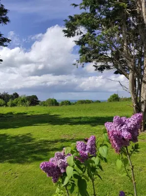 Paysage naturel près de la maison de vacances