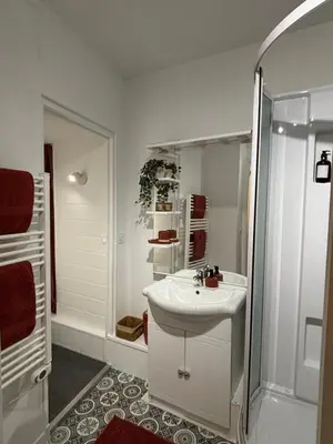 Salle de bains dans l'établissement Appartement terrasse au cœur de la ville