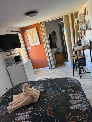 Cuisine ou kitchenette dans l'établissement Le Cocon de la Baie