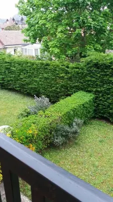 Jardin de l'établissement Confortable 2 pièces calme à 200 m plage wifi