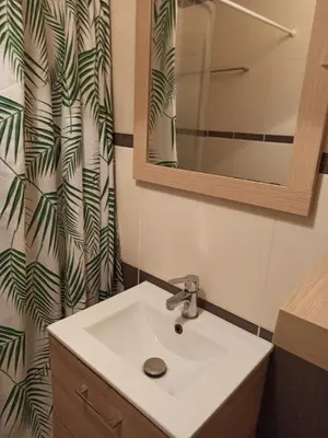 Salle de bains dans l'établissement appartement hyper centre ville au 1er étage