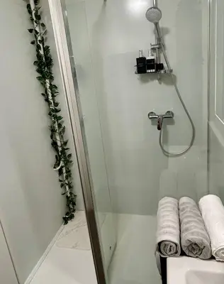 Salle de bains dans l'établissement Cocon Cosy Verdoyant - Free Private Parking, Breakfast, Wifi, Netflix