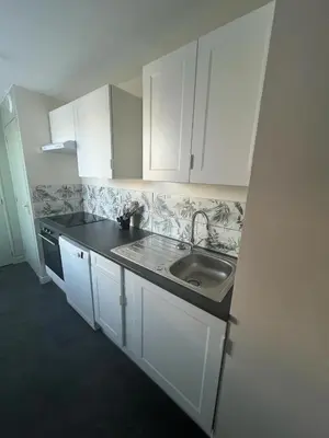 Cuisine ou kitchenette dans l'établissement Appartement lumineux design 2 chambres centre et Cité de la Mer