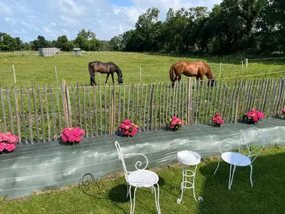 Animaux dans la maison de vacances ou à proximité